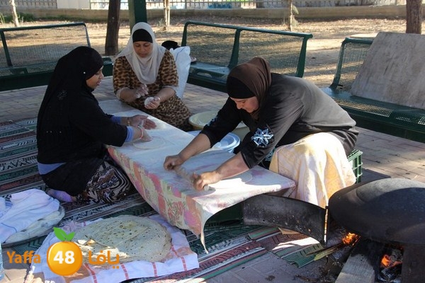 rashidiya 0212 (62).JPG